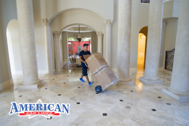 palm beach long distance movers